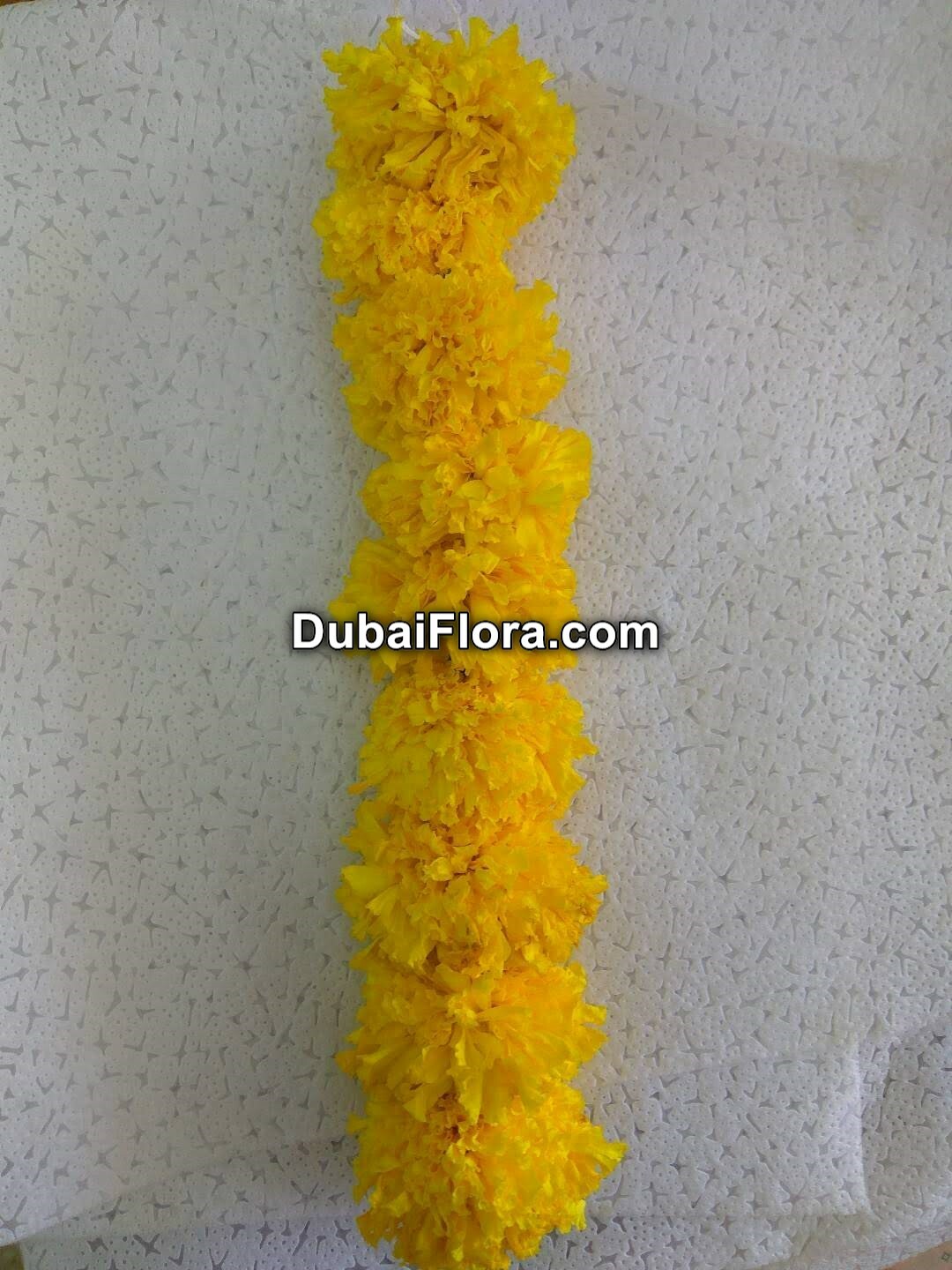 Flower Strings