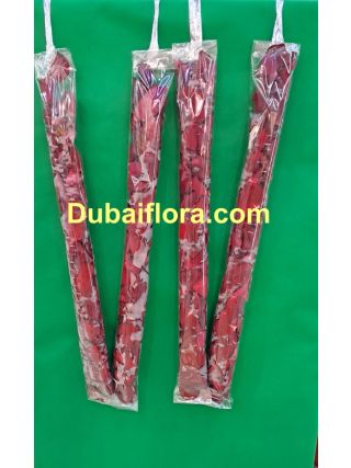 Pair of garland in rose patels 