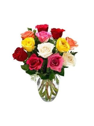 12 MIX ROSES IN VASE