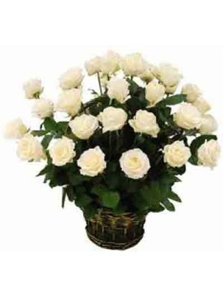 White Roses Basket 20 Stems