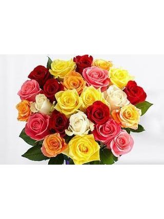 Magical Sunny Mixed Roses