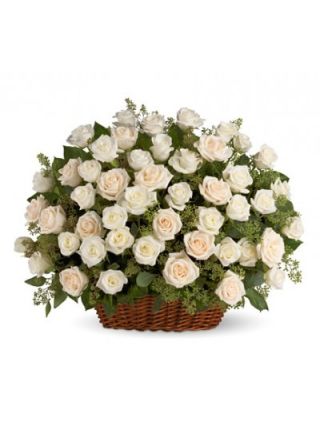 White Roses Basket 50 Stems