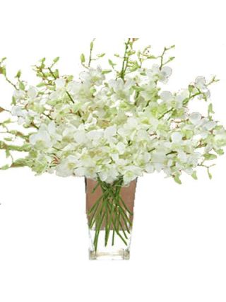 White Orchid Vase 6 Stem Of Flowers