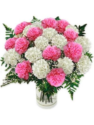 36 Pink N white Carnations in Glass Vase
