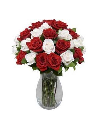 Red and White Roses in Vase 36 Blooms