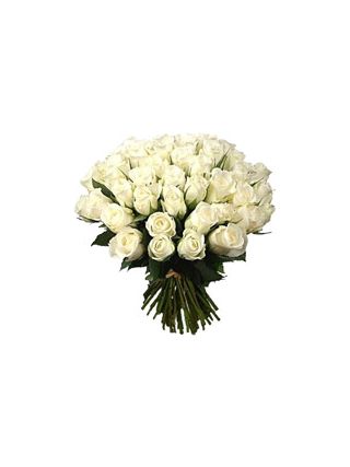 Fifty White Roses