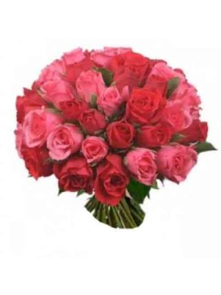 36 Pink and Red Rose Bunch / Bouquet 